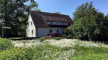 IMG_0070